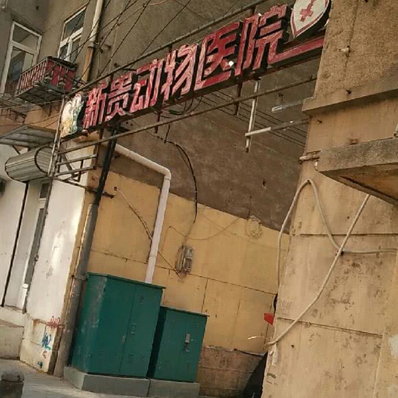 新贵动物医院(台西分院):青岛市市南区火车站/团岛附近