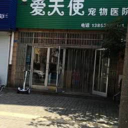 爱天使宠物医院:青岛市市南区火车站/团岛附近