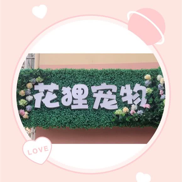 花狸宠物狗:青岛市市南区湛山/太平角附近