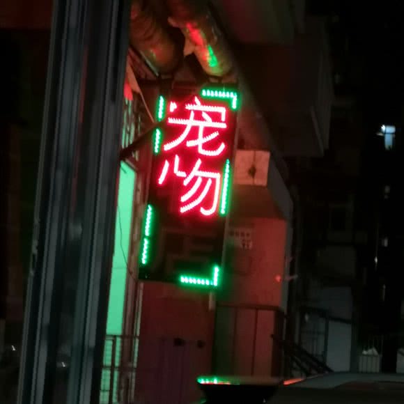 宠物店:天津城区河东区大王庄附近