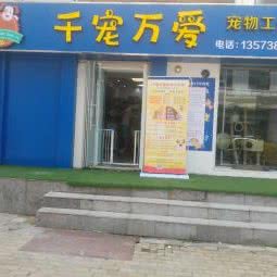 千宠万爱宠物工作室:青岛市市南区香港中路沿线附近