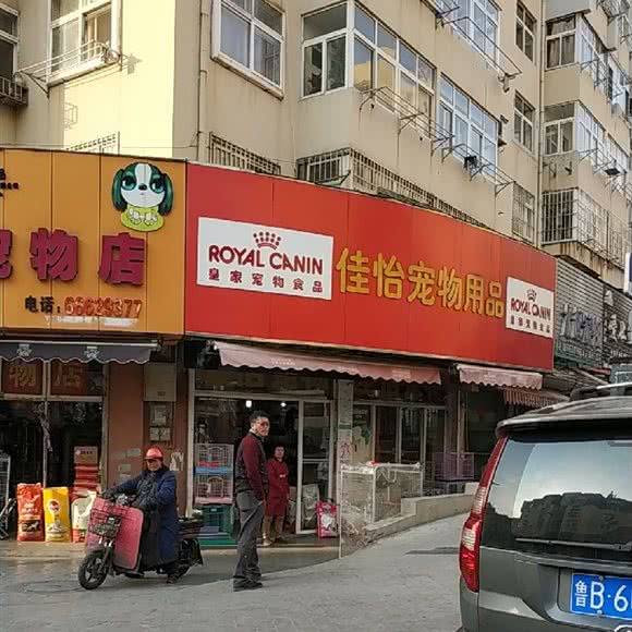 佳怡宠物:青岛市市北区台东步行街附近