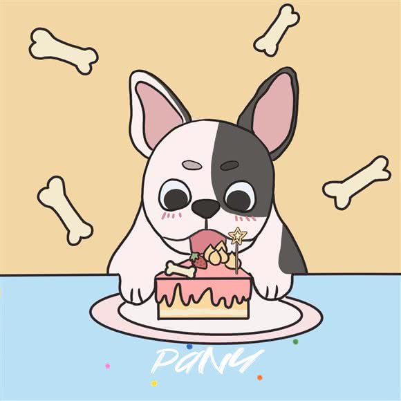 pany（伴你）宠物:青岛市市北区台东步行街附近