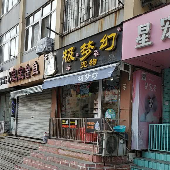 极梦幻宠物造型:青岛市市北区台东步行街附近