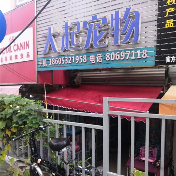 大起宠物(丰盛路店):青岛市市北区台东步行街附近
