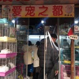 爱宠之都宠物店:青岛市市北区台东步行街附近