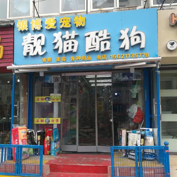银博爱宠物靓猫酷狗:青岛市市北区台东步行街附近