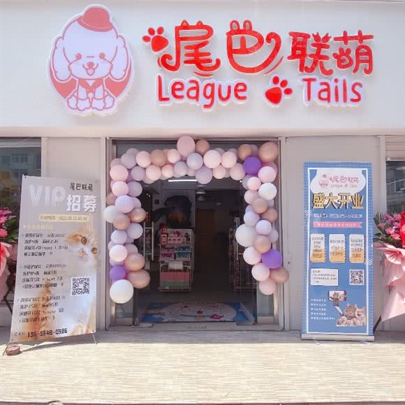 尾巴联萌League of tails:青岛市市北区台东步行街附近