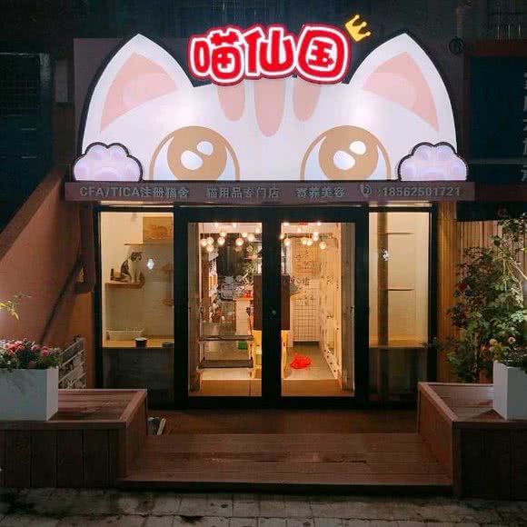 喵仙国精品猫舍·赛级洗护:青岛市市北区台东步行街附近