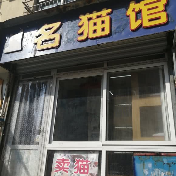 名猫馆:青岛市市北区台东步行街附近