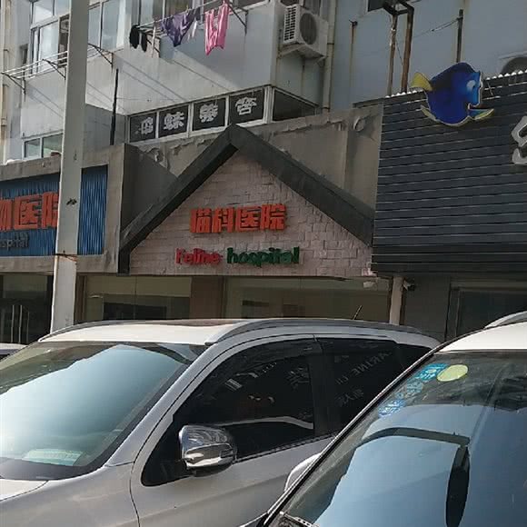 猫科医院:青岛市市北区台东步行街附近