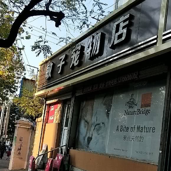 敏子宠物店:青岛市市北区儿童公园/青岛港附近