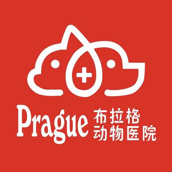 布拉格予宠物医院:青岛市市北区儿童公园/青岛港附近