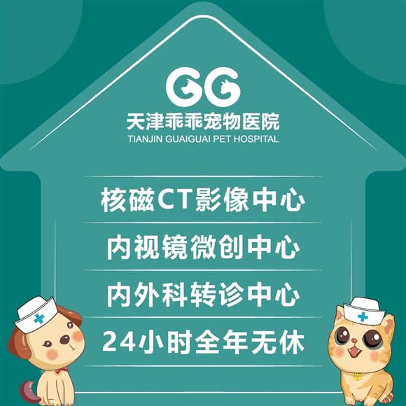 乖乖宠物医院24小时·核磁影像·急重症中心·微创中心(八纬路总院):天津城区河东区大直沽附近