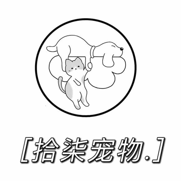 拾柒宠物生活馆:青岛市市北区中央商务区附近