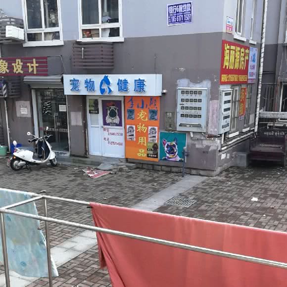 宠物健康:青岛市市北区中央商务区附近