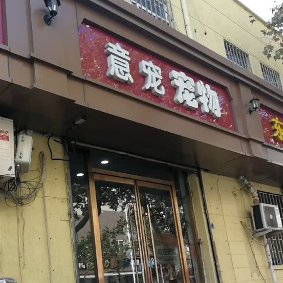 意宠宠物:青岛市市北区中央商务区附近