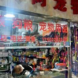 大树宠物狗:天津城区河东区大直沽附近