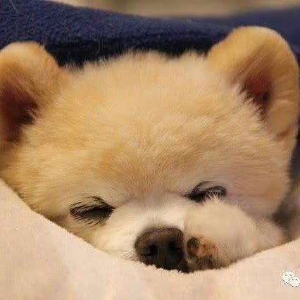 后宫宠屋:青岛市市北区海泊桥附近