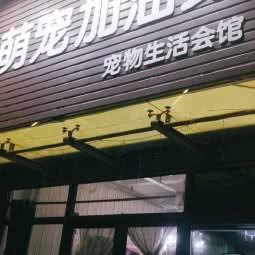 萌宠加油站:青岛市市北区海泊桥附近