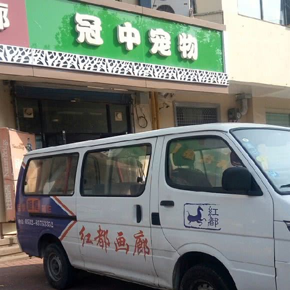 冠中宠物:青岛市市北区海泊桥附近