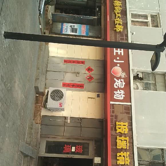 王小桃宠物:青岛市市北区海泊桥附近