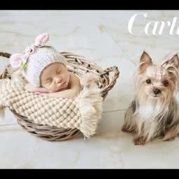 脚印宠物会所:青岛市市北区海泊桥附近