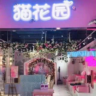 萌宠王国日式猫咖:青岛市市北区海泊桥附近