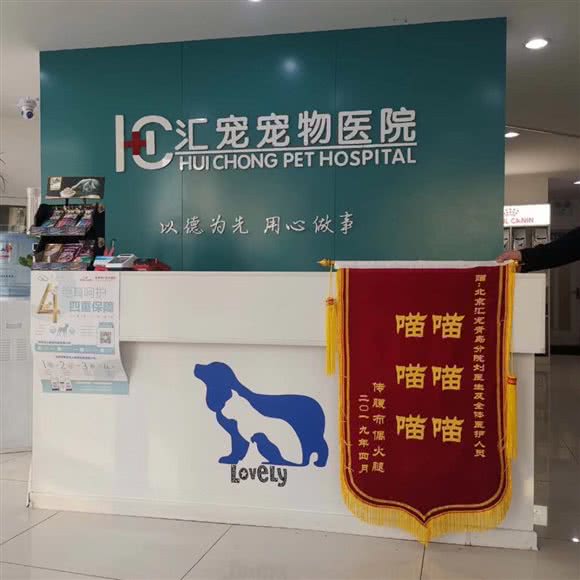 北京汇宠宠物医院(青岛第一分院):青岛市市北区新都心附近