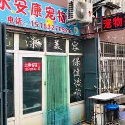 永安康宠物店:青岛市市北区小村庄附近