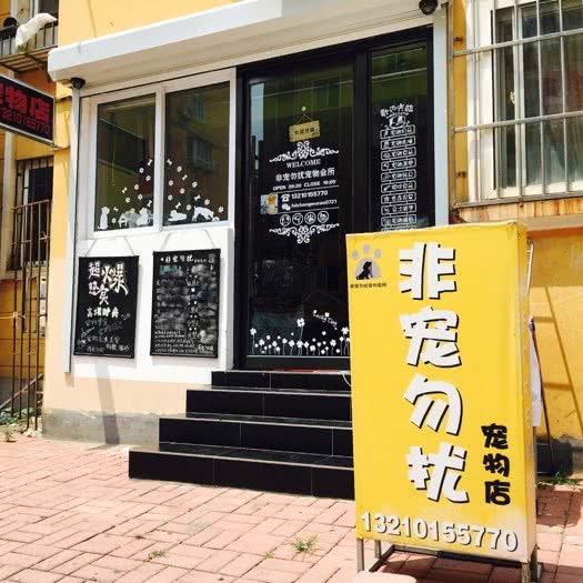 非宠勿扰宠物会所:青岛市市北区小村庄附近