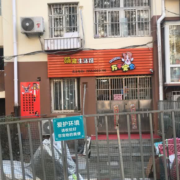 万千宠爱:青岛市市北区浮山后附近