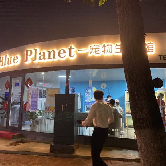 Blue Planet-宠物生活馆:青岛市市北区海琴广场附近