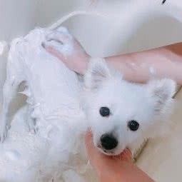 千琳的宠物乐园:青岛市市北区海琴广场附近