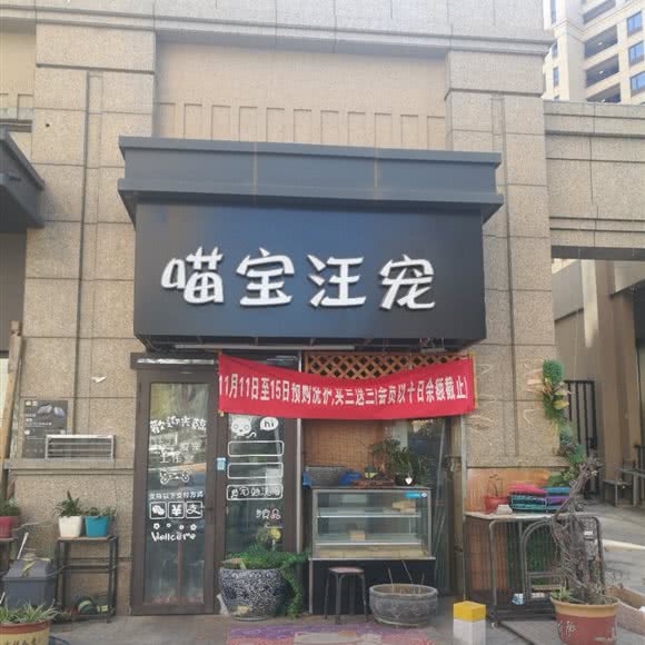 喵宝汪宠:青岛市市北区海琴广场附近