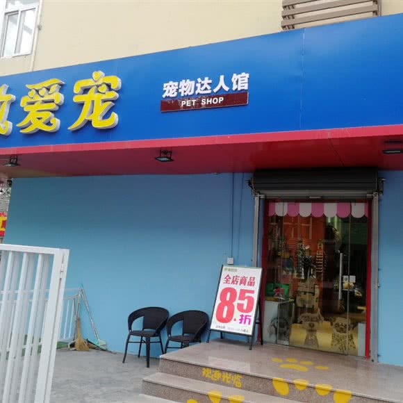 致爱宠宠物达人馆:青岛市市北区海琴广场附近