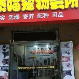 哈泰喵宠物用品店:青岛市市北区海琴广场附近