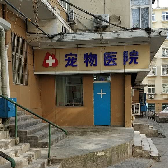 爱康宠物医院(洛阳路店):青岛市市北区海琴广场附近