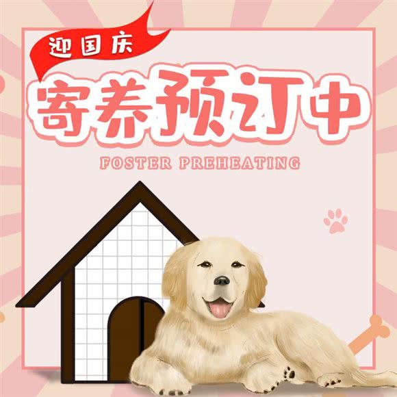 谷德道格宠物会所(金港国际店):北京城区朝阳区大望路附近