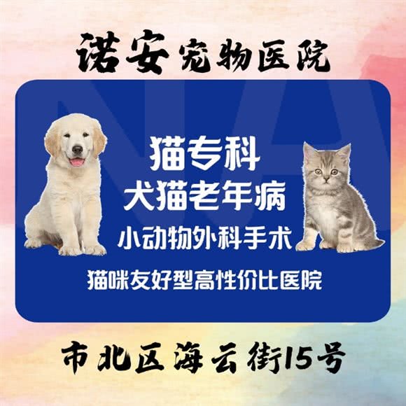 诺安宠物医院:青岛市市北区海云庵附近