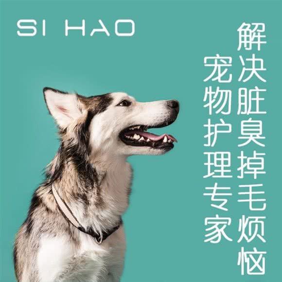 天津肆号宠物4号(河东店):天津城区河东区天津站附近