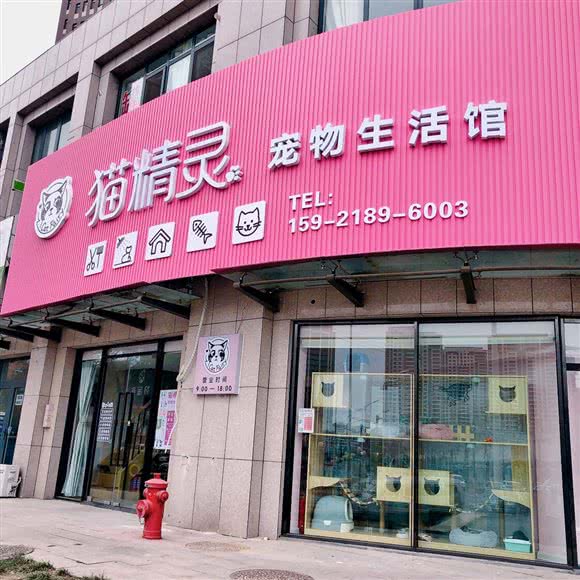 猫精灵宠物生活馆:青岛市市北区凯德广场附近