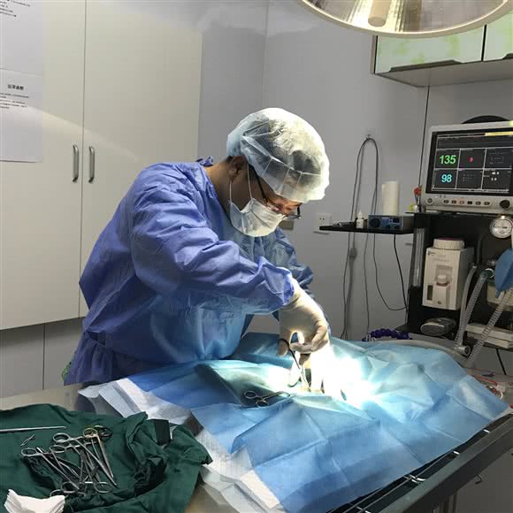 咪咪猫宠物医院:青岛市市北区凯德广场附近