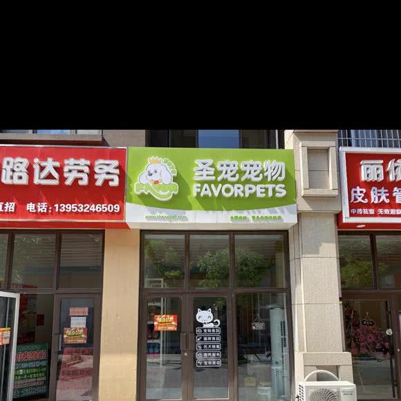 圣宠宠物(辛安华联店):青岛市黄岛区开发区附近