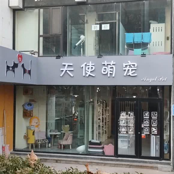 天使萌宠:青岛市黄岛区开发区附近