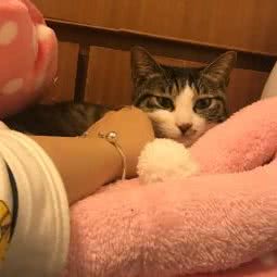 派多格宠物(东方华庭店):青岛市黄岛区开发区附近