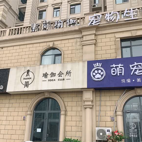 与熊宠物:青岛市黄岛区开发区附近