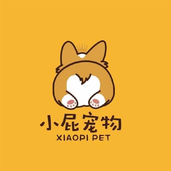 小屁宠物:天津城区河东区天津站附近