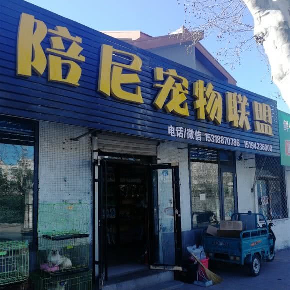 陪尼宠物联盟(武夷山路店):青岛市黄岛区开发区附近