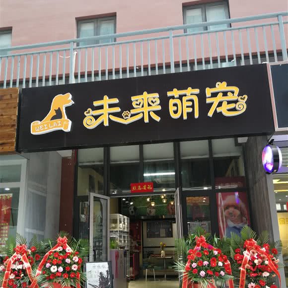 未来萌宠:青岛市黄岛区开发区附近